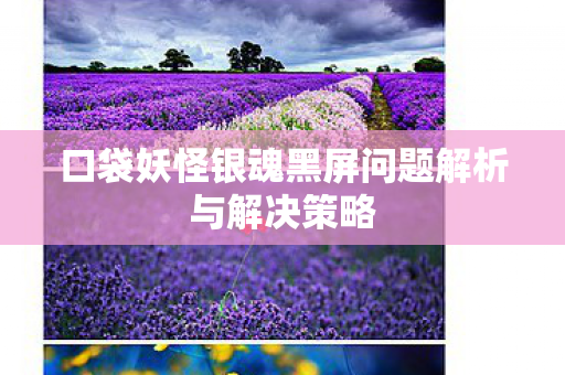 口袋妖怪银魂黑屏问题解析与解决策略图片