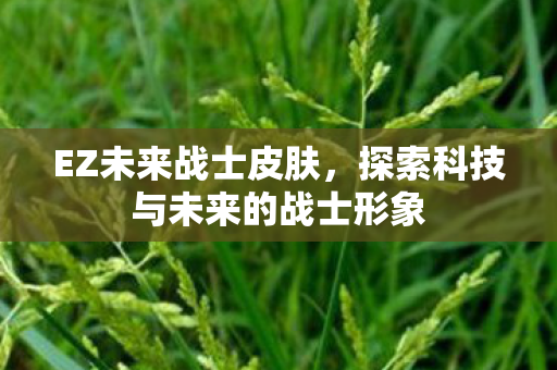 探索科技与未来的战士形象图片