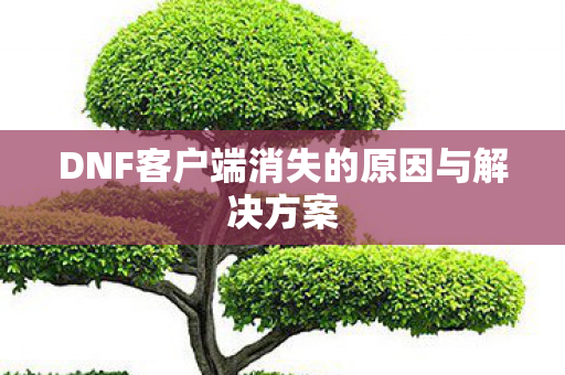 DNF客户端消失的原因与解决方案图片