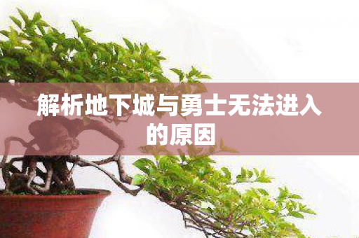 解析地下城与勇士无法进入的原因图片