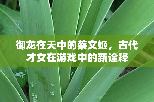 古代才女在游戏中的新诠释图片
