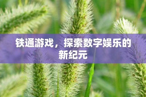 探索数字娱乐的新纪元图片