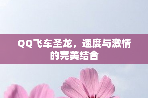 速度与激情的完美结合图片