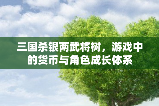 游戏中的货币与角色成长体系图片
