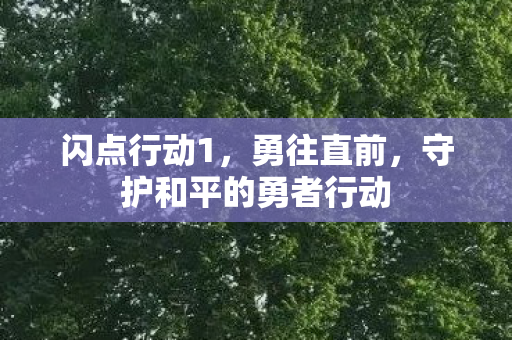 守护和平的勇者行动图片