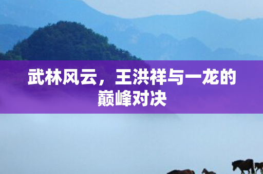 王洪祥与一龙的巅峰对决图片