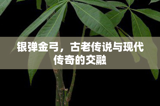 古老传说与现代传奇的交融图片