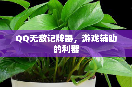 QQ无敌记牌器图片