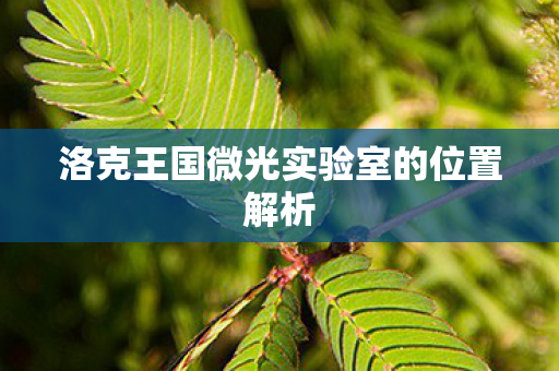洛克王国微光实验室的位置解析图片