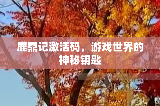 游戏世界的神秘钥匙图片