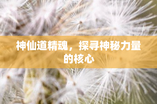 探寻神秘力量的核心图片