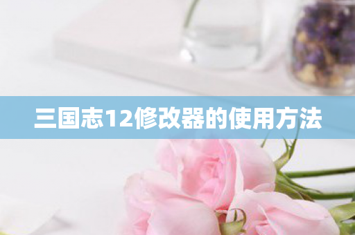三国志12修改器的使用方法图片