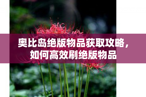奥比岛绝版物品获取攻略图片