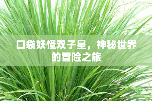 神秘世界的冒险之旅图片