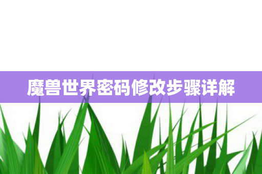魔兽世界密码修改步骤详解图片