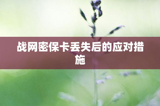 战网密保卡丢失后的应对措施图片