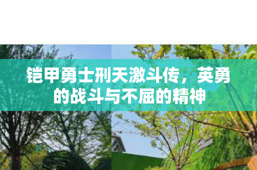 英勇的战斗与不屈的精神图片