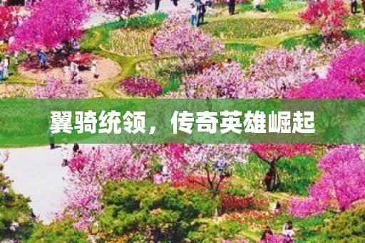 传奇英雄崛起图片