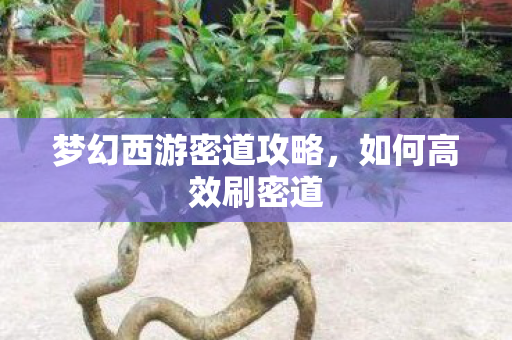 梦幻西游密道攻略图片