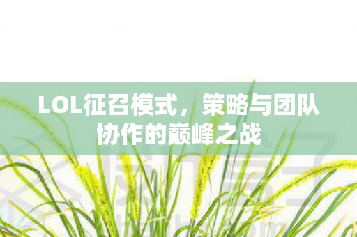 策略与团队协作的巅峰之战图片