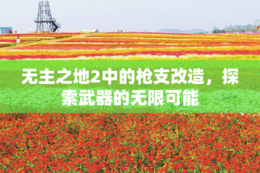 无主之地2中的枪支改造图片