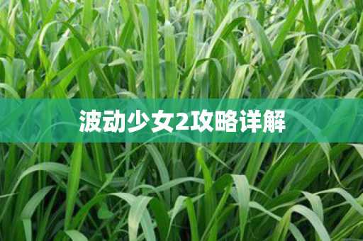 波动少女2攻略详解图片