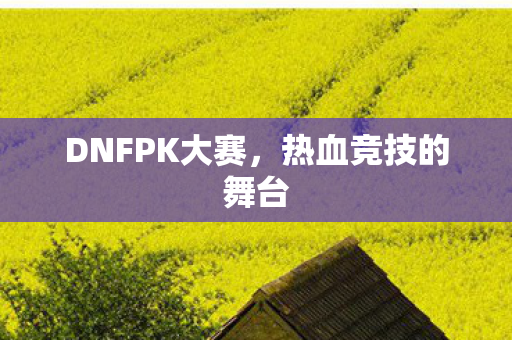 DNFPK大赛图片