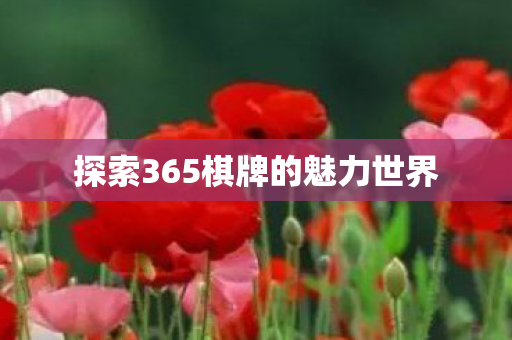 探索365棋牌的魅力世界图片