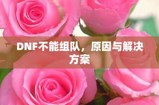 DNF不能组队图片
