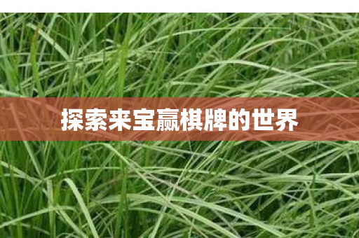 探索来宝赢棋牌的世界图片