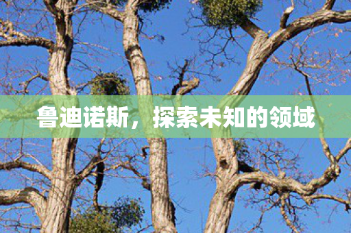 探索未知的领域图片