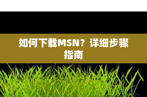如何下载MSN图片