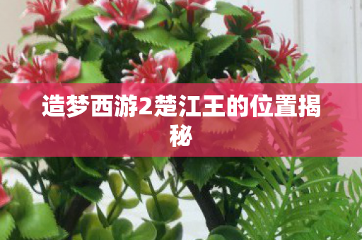 造梦西游2楚江王的位置揭秘图片