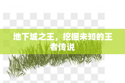 挖掘未知的王者传说图片