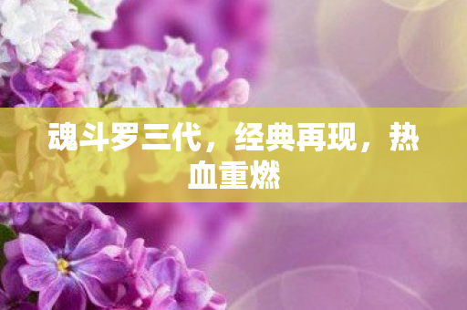 魂斗罗三代图片