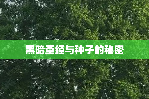 黑暗圣经与种子的秘密图片