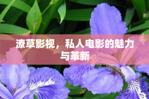 私人电影的魅力与革新图片