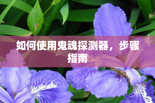 如何使用鬼魂探测器图片