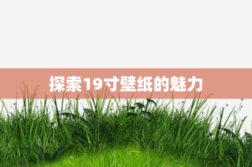 探索19寸壁纸的魅力图片