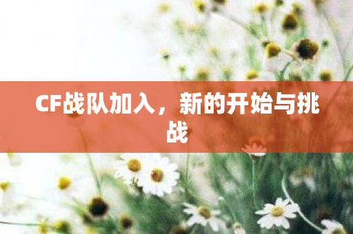 新的开始与挑战图片