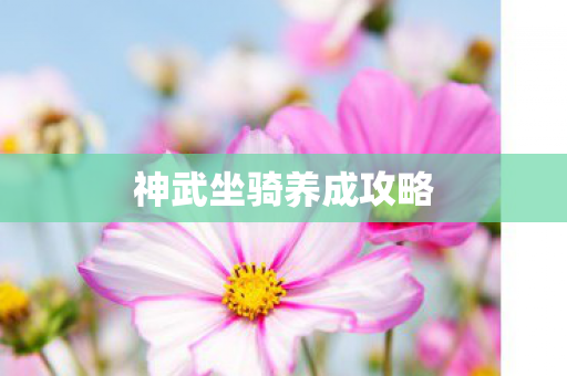 神武坐骑养成攻略图片