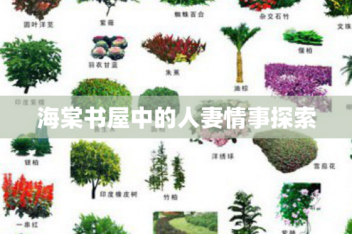 海棠书屋中的人妻情事探索图片