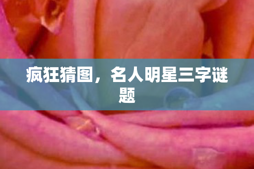 名人明星三字谜题图片