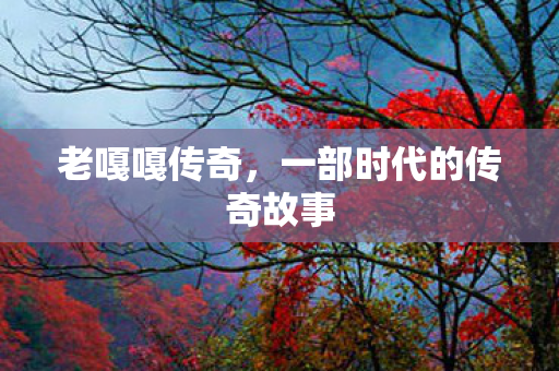 一部时代的传奇故事图片