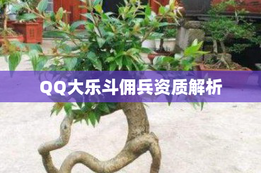 QQ大乐斗佣兵资质解析图片