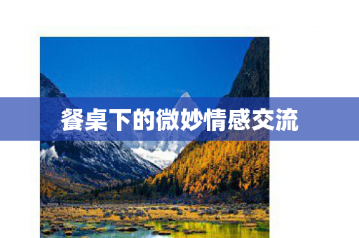 餐桌下的微妙情感交流图片