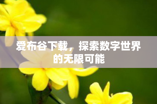 探索数字世界的无限可能图片
