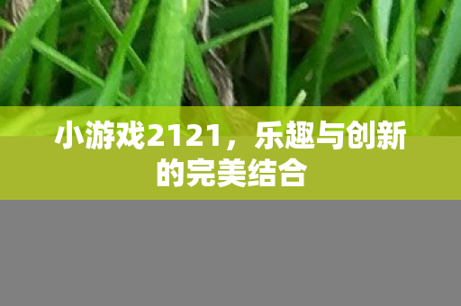 乐趣与创新的完美结合图片