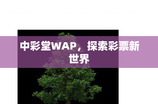 探索彩票新世界图片