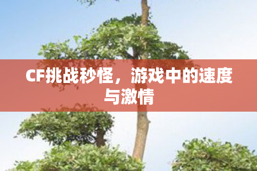 游戏中的速度与激情图片